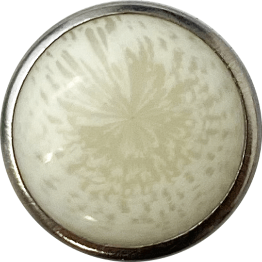 SN-01 IMT. PEARL_META